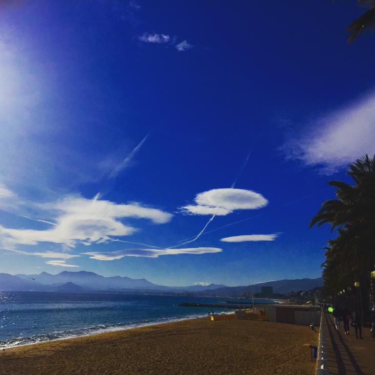 Villa Tricia Cannes Dış mekan fotoğraf